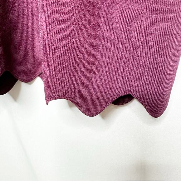 TED BAKER Rickrack Scalloped Rianori Shift Dress NWT in Size 5 (12) - Picture 4 of 11